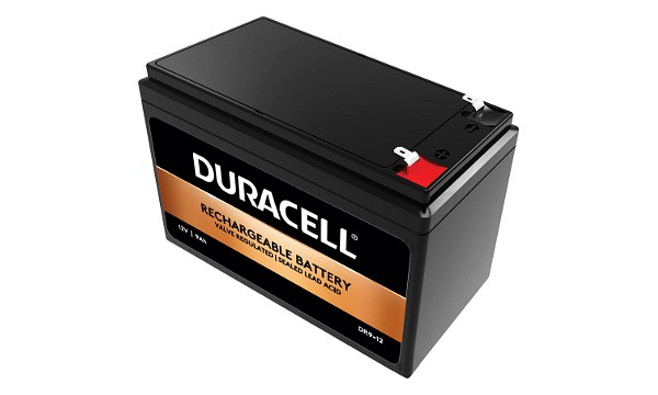 RT1290 Battery