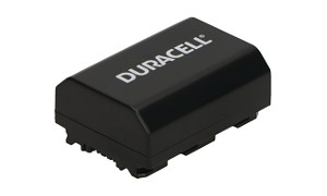 NP-FZ100 Battery (2 Cells)