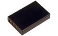 Caplio 500G Battery